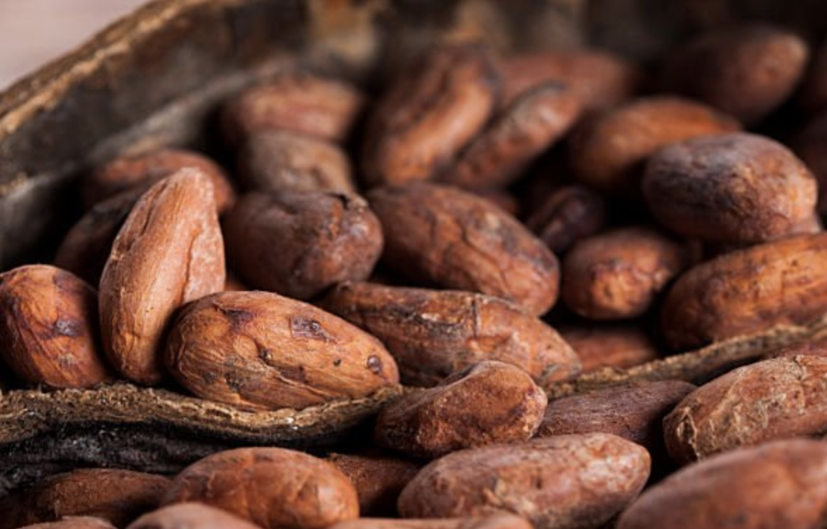 Premium Cocoa Beans